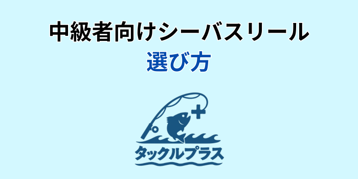 シーバスリール 中級者