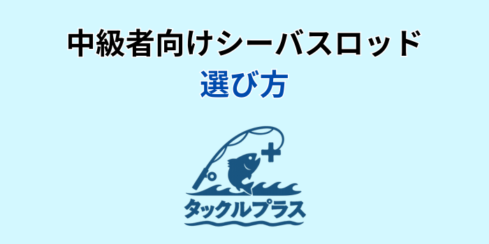 シーバスロッド 中級者