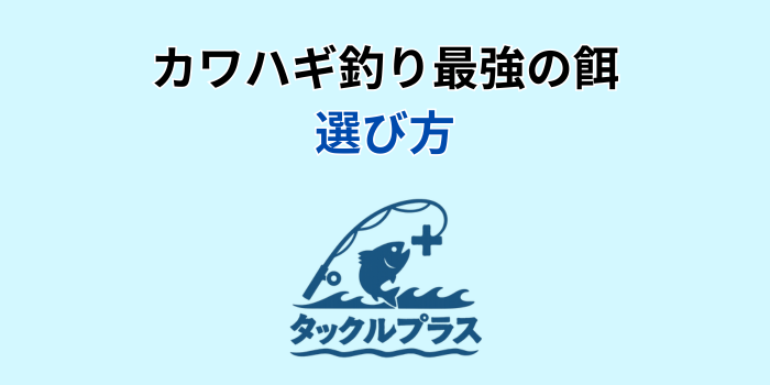 カワハギ 餌 最強