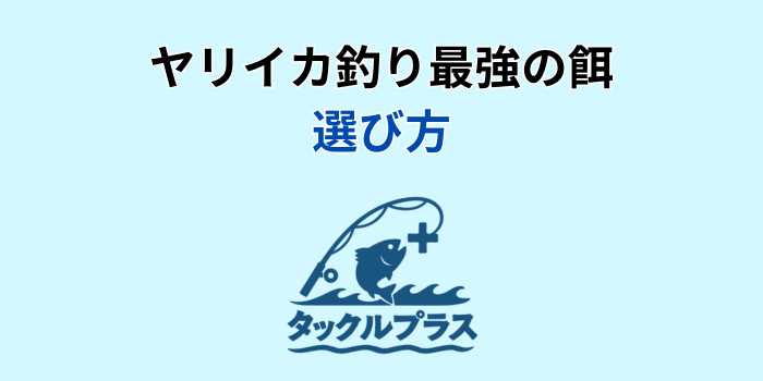 ヤリイカ 餌 最強